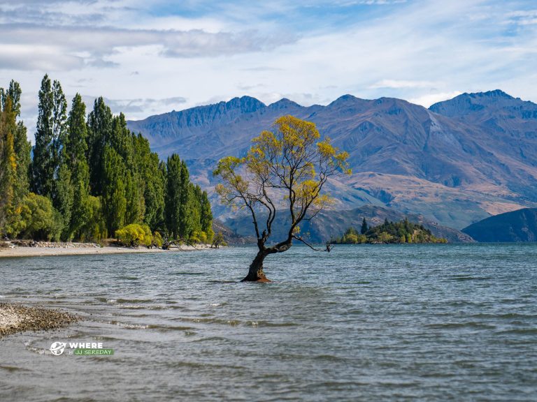 240301-JJS-A1-New-Zealand-Wanaka-02421