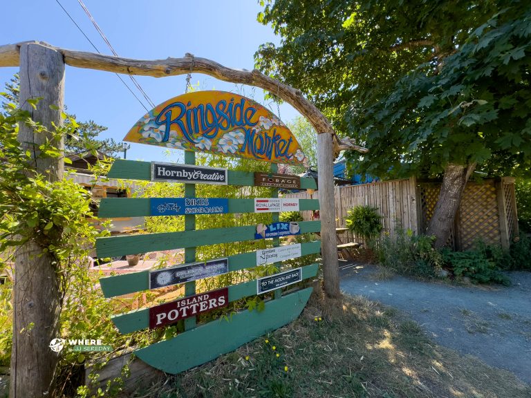 240723-JJS-LB-BC-VI-Hornby-Island-9599