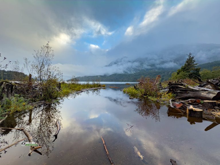 241020-JJS-LI-BC-Vancouver-Island-Nimpkish-Lake-7323