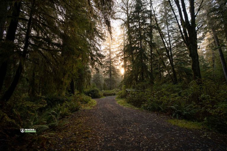 241022-JJS-A1-BC-Vancouver-Island-Cape-Scott-08939
