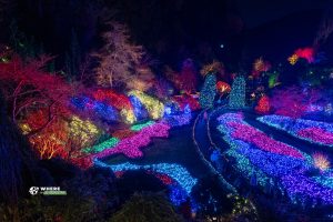 241211-JJS-A1-BC-Vancouver-Island-Victoria-Christmas-03903