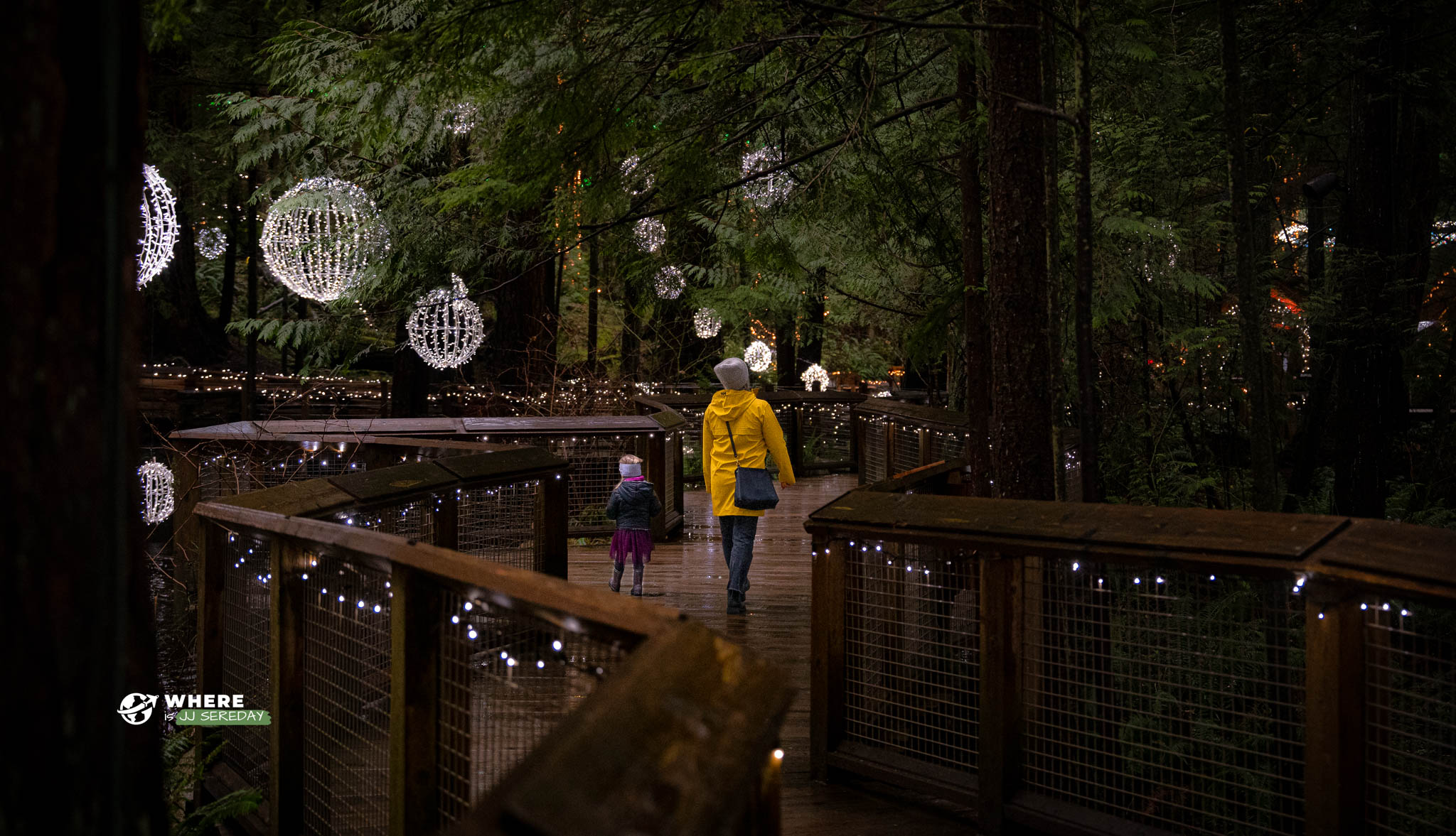 241220-JJS-A1-BC-Vancouver-Capilano-Bridge-01793