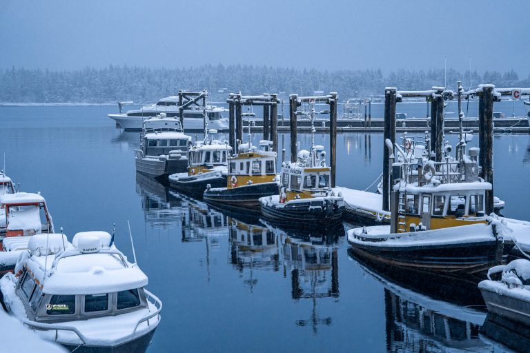 250203-JJS-A1-BC-Vancouver-Island-Nanaimo-Neck-Point-02551