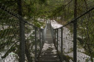 250216-JJS-A1-BC-VI-Ladysmith-Haslam-Creek-03012