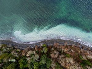 250226-JJS-C2-BC-VI-Nanaimo-Herring-Spawn-0006