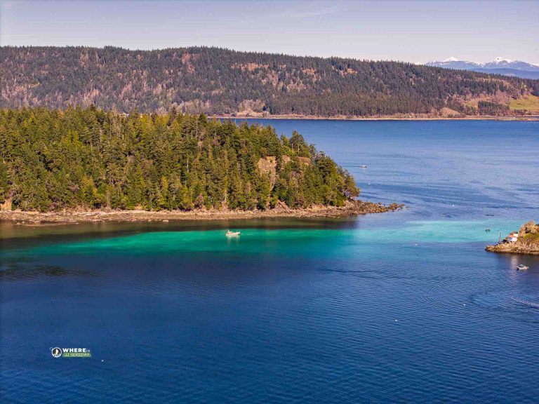 250306-JJS-D2-BC-VI-Denman-Island-Herring Spawn-0028