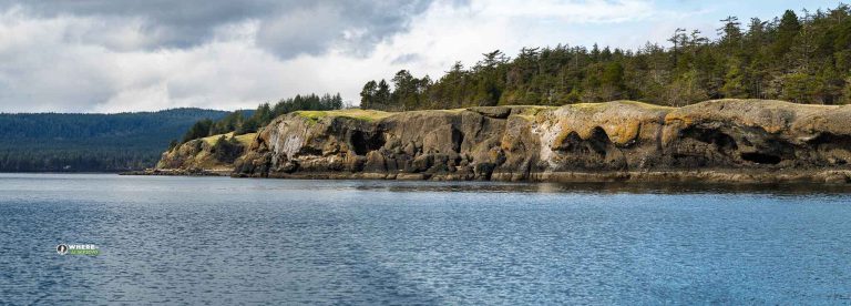 250313-JJS-A1-BC-VI-Comox-Wild-Waterways-Adventures-04542-Pano