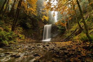 251025--JJS-A1-BC-Vancouver-Island-Ammonite-Falls-08803