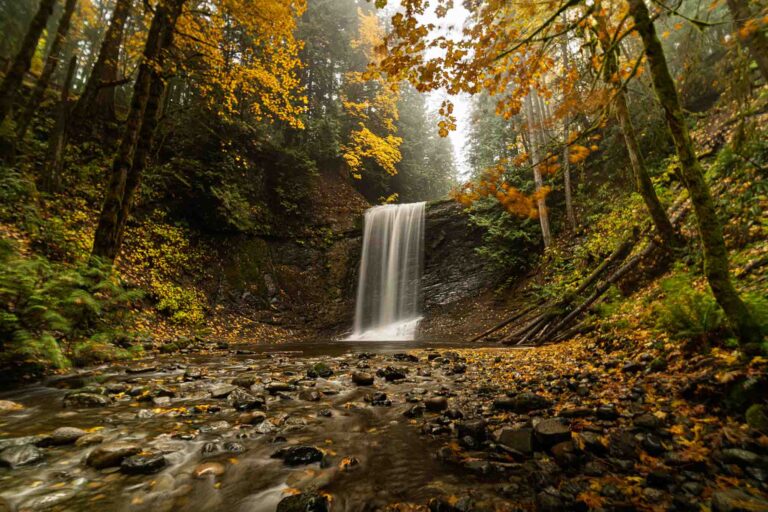 251025--JJS-A1-BC-Vancouver-Island-Ammonite-Falls-08803